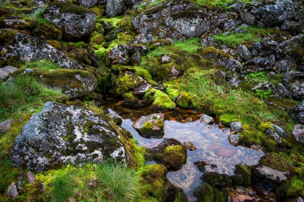 Hydrogeology field assessment